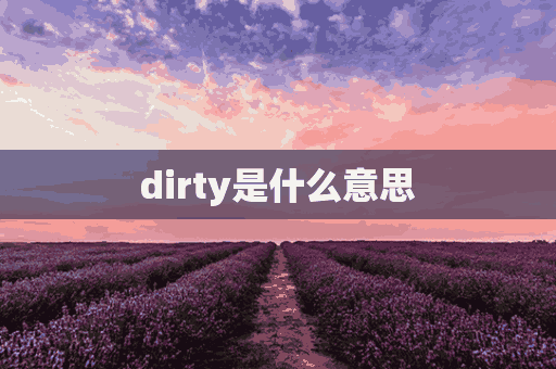 dirty是什么意思